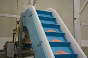 DynaClean conveyor with abrasive salt product
